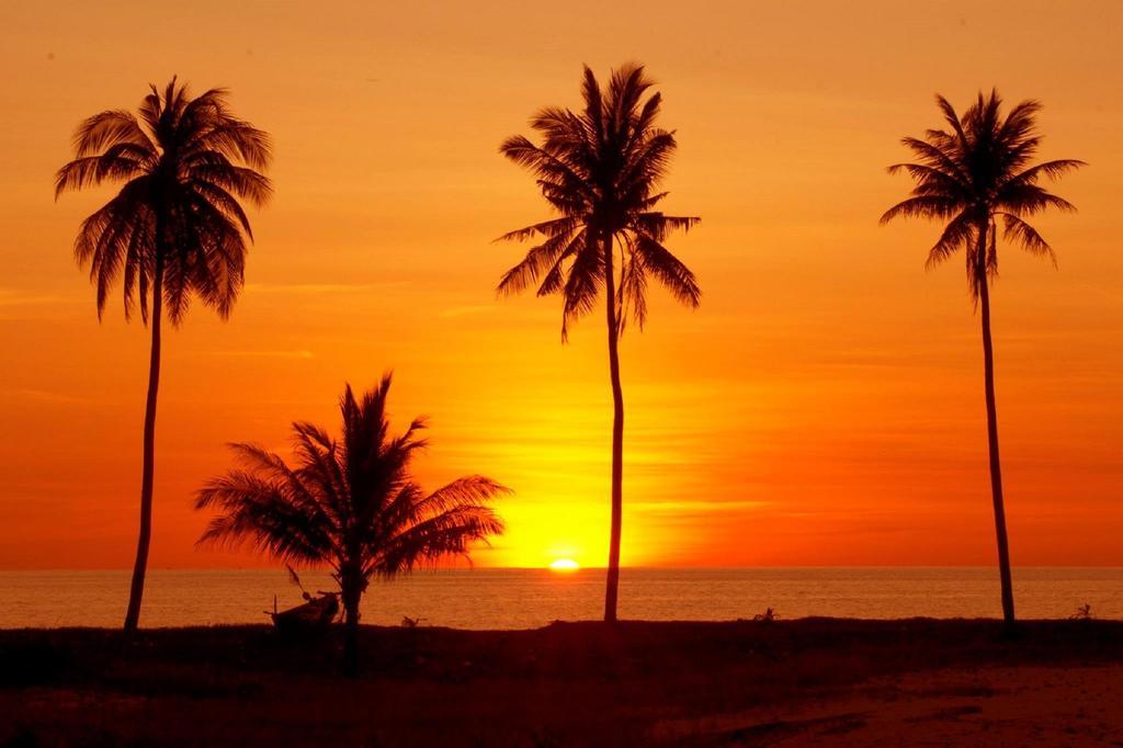 Hong Bin Bungalow Phu Quoc Eksteriør bilde